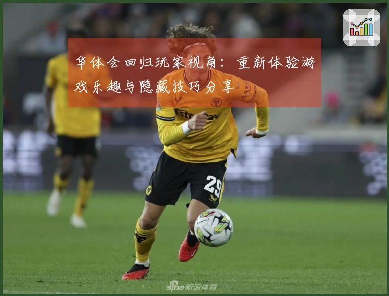 华体会回归玩家视角：重新体验游戏乐趣与隐藏技巧分享